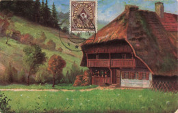 BATIMENT ET ARCHITECTURE - Chalet Dans Les Montagnes - Colorisé - Carte Postale  Ancienne - Sonstige & Ohne Zuordnung