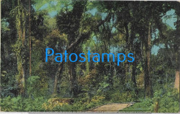 215586 COSTA RICA TROPICAL JUNGLE VIEW PARTIAL POSTAL POSTCARD - Costa Rica