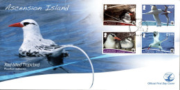 WWF,  LOCAL FDC  ASCENSION ISLANDS,  Tropicbird  /  Lettre De Première Jour,  Oiseau Tropicale   -  2011 - Seagulls