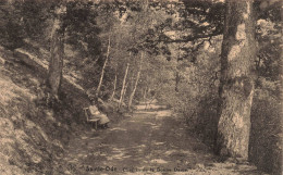 BELGIQUE - Sainte Ode - Chemin De La Bonne Dame - Carte Postale  Ancienne - Sainte-Ode