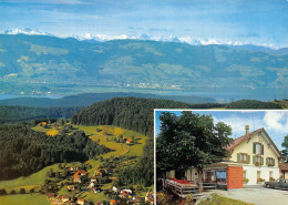 Wald  Gasthaus Zum Lauf - Wald