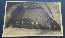 Folx-les-Caves - Grandes Champignonnières - Salle Du Tigre Et Préparation Des Couches - Ern. Thill, Bruxelles - Orp-Jauche