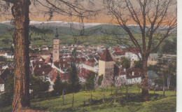 D6075) WOLFSBERG - Kärnten - Mit Saualpe  - 1925 Färbig Mit Bäumen Im Vordergrund Blick über Stadt - Wolfsberg
