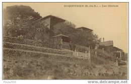 13 - ROQUEVAIRE -  LES  OLIVIERS   N451 - Roquevaire