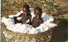 T  C  H  A  D    -   ENFANTS SARAS MADJINGAYES Dans Le COTON - - Tchad