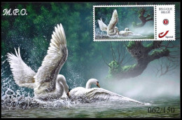 DUOSTAMP/MYSTAMP(**) - Cygne / Zwan / Schwan / Swan - Sur Carte Photo/Op Fotokaart - NUMÉROTÉ/GENUMERD - MPO - BUZIN - Storia Postale