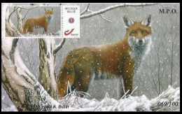 DUOSTAMP/MYSTAMP(**) - Renard / Vos / Fuchs / Fox - Sur Carte Photo / Op Fotokaart - NUMÉROTÉ/GENUMERD - MPO - BUZIN - Cartas & Documentos