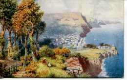 TUCKS OILETTE - WIMBUSH - 7014 - SIDMOUTH - FROM PEAKE HILL - Wimbush