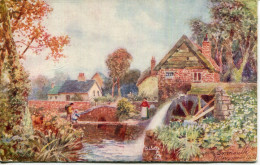 TUCKS OILETTE - WIMBUSH - 7369 - EXMOUTH - WITHYCOMBE MILL - Wimbush