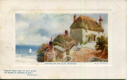 TUCKS OILETTE - WIMBUSH - 9724 - GLORIOUS DEVON - COTTAGE ON THE CLIFF - Wimbush