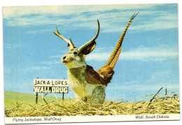 Flying Jackalope Wall Drug - Wall - South Dakota - Other & Unclassified