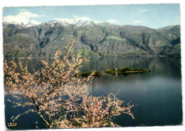 Isole Di Brissago (lago Maggiore) - Parco Botanico Del Ct Ticino - Brissago