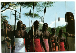 Masai Warriors - Kenya - Kenya