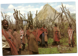 Masai Women Near Their Huts - Kenya