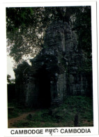 Cambodge - Cambodia - Siem Reap - Ta Som - Cambodge