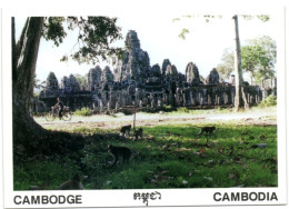 Cambodge - Cambodia - Siem Reap - Bayon - Cambodge