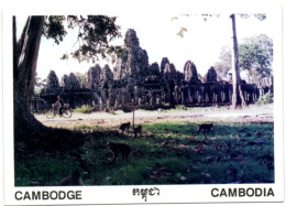 Cambodge - Cambodia - Siem Reap - Bayon - Cambodge