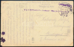 1918 Tábori Posta Képeslap / Field Postcard "K.u.k. Feldjägerbataillon Ferdinand I. König Der ..." + "FP 1075" - Otros & Sin Clasificación