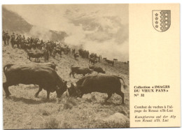 Collection Images Du Vieux Pays N° 32 - Combat De Vaches à L'alpage De Rouaz S/St-Luc - Saint-Luc