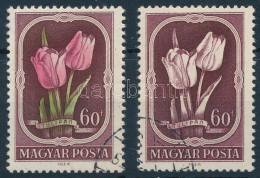 O 1951 Virág II. 60f Zöld és Rózsaszín Színyomat Nélkül + Támpéldány (70.000) / Mi 1210 Green And Pink Colour Omitted. C - Autres & Non Classés