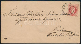 1869 5kr Díjjegyes Boríték / PS-cover "IRSA" - Other & Unclassified