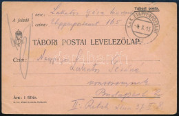 1915 Tábori Posta Levelezőlap / Field Postcard "EP 165" - Sonstige & Ohne Zuordnung