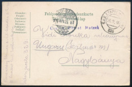 1916 Tábori Posta Levelezőlap / Field Postcard "FP 329" - Sonstige & Ohne Zuordnung