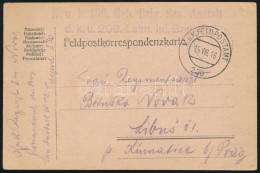 1916 Tábori Posta Levelezőlap / Field Postcard "K.u.k. 109. Geb. Brig. San. Anstalt D.k.u. 209. Lstm. Inf. Brigade" - Autres & Non Classés