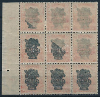 ** 1920 Búzakalász 10f ívszéli 9-es Tömb Részleges Gépszínátnyomattal / Mi 297 Block Of 9, Machine Offset - Autres & Non Classés