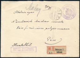 1925 Hivatalos Ajánlott Levél / Official Registered Cover - Autres & Non Classés