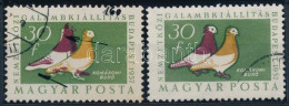 O 1957 Magyarországi Galambfajták 30f A Barna Szín Látványosan Fölfelé Tolódott + Támpéldány / Mi 1505 Shifted Brown Col - Other & Unclassified