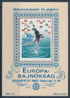 ** 1963 Műkorcsolyázó és Jégtánc EB Blokk Az Ismert Lemezhibával / Mi Block 37 With Plate Variety - Autres & Non Classés