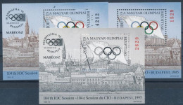 ** 1995/1a+1b+F1 100 éves A Magyar Olimpiai Bizottság 3 Db-os Emlékív Garnitúra (11.800) / Souvenir Sheet Collection Of  - Otros & Sin Clasificación