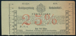 Cca 1910 Herkulesfürdői (Erdély) 25%-os Kedvezményes Fürdőjegy, Kicsit Barnult Széllel, De Jó állapotban - Sin Clasificación