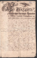 1795 Csanád Vármegye Határozata A Mindszenti Uradalom Porgány-ér és Bogdány-fok Halászati Joga ügyében, Latin Nyelven, P - Unclassified