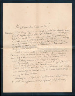 1896 Tisza Kálmán (1830-1902) Miniszterelnök Saját Kézzel írt Levele Szél Kálmán Nagyszalontai Esperesnek. A Levélben Eg - Sin Clasificación