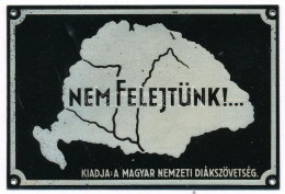 Cca 1930 "Nem Felejtünk!..." - Kiadja A Magyar Nemzeti Diákszövetség, Irredenta Fém Tábla, Apró Kopásnyomokkal, 6x9 Cm - Unclassified