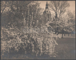 Cca 1935 Kinszki Imre (1901-1945) Budapesti Fotóművész Hagyatékából Pecséttel Jelzett, Nagyméretű Vintage Fotóművészeti  - Sonstige & Ohne Zuordnung