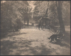 Cca 1930 Kinszki Imre (1901-1945) Budapesti Fotóművész Hagyatékából Pecséttel Jelzett, Nagyméretű Vintage Fotóművészeti  - Sonstige & Ohne Zuordnung