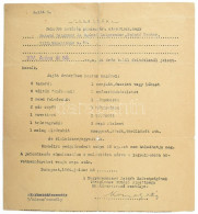 1944 Magyarországi Zsidók Szövetségének Ideiglenes Intéző Bizottsága Munkásszervező Osztálya Utasítása A XIV. Ker Aréna  - Sonstige & Ohne Zuordnung