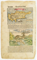 1562 Ciprus Színezett Fametszetű Térképe állatábrázolással. Megjelent: Sebastian Münster: Cosmographie...30 X 22,5 Cm /  - Autres & Non Classés