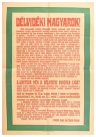 1919 Délvidéki Magyarok Délvidéki Magyar Liga Megalakulása Plakát. Hajtásoknál Ragasztással Megerősítve 58x84 Cm Kis Bes - Altri & Non Classificati