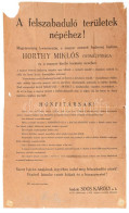 1921 Felszabadított Területek Népeihez. Szigetvár, Mohács Visszacsatolása Plakát Kis Sérülésekkel 67x84 Cm - Sonstige & Ohne Zuordnung