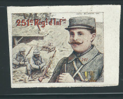 Rare : Vignette DELANDRE - France 251 éme Régt D'infanterie De Ligne - 1914 -18 WWI WW1 Poster Stamp - Erinnophilie