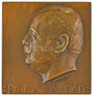 Vágó Dezső (1882-1945) DN "Bókay Árpád (belgyógyász) / Sic Vos Non Vobis (Akárcsak Te)" Kétoldalas Bronz Plakett (64x62m - Non Classés