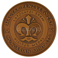 2010. "Magyar Pénzverő Zrt. Látogatói Érem / Elődeink - Gyulafehérvár" Kétoldalas Bronz Emlékérem Kapszulában (42,5mm) T - Non Classés