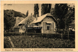 T2 1937 Balatonboglár, Magyar Államvasútiak (MÁV) Takarék- és Segélyszövetkezetének üdülőtelep, "D" épület - Non Classés