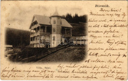 T2/T3 1902 Borszék, Borsec; Villa Szini (EK) - Ohne Zuordnung