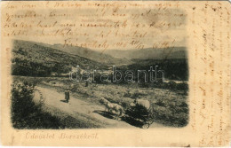 T3 1906 Borszék-fürdő, Baile Borsec; Árkoza-tető (Hazanéző-tető). Bogdánffy István Kiadása / Arcoza Mountain Peak (EB) - Unclassified