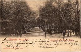 T2 1899 (Vorläufer) Kassa, Kosice; Széchenyi Réti Közép Sétány. Szent-Istványi Júlia Kiadása / Park Promenade - Unclassified